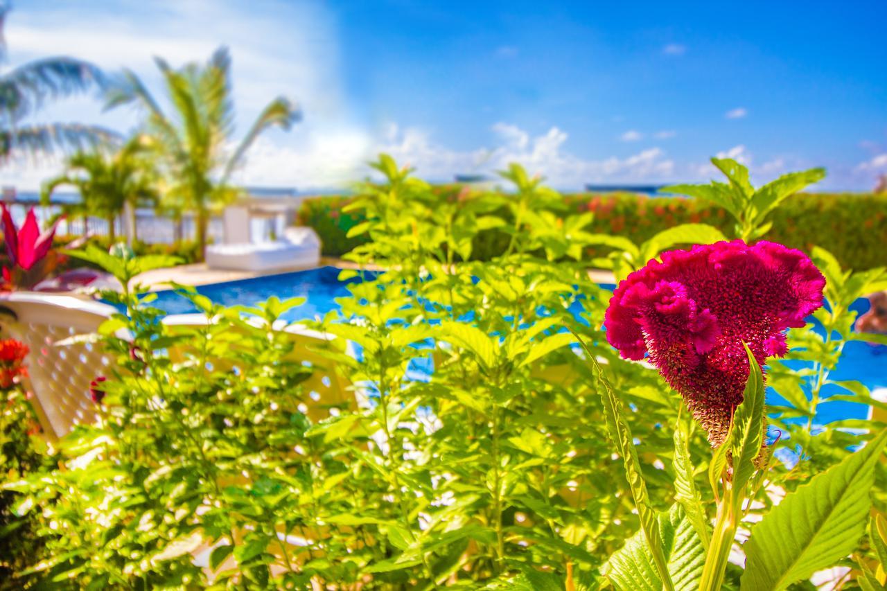 Hotel Aria Manzanillo Картахена Экстерьер фото